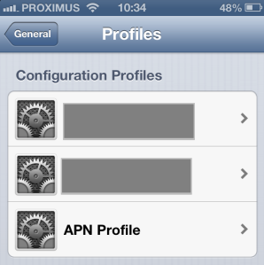 iPhone Settings Profiles screen